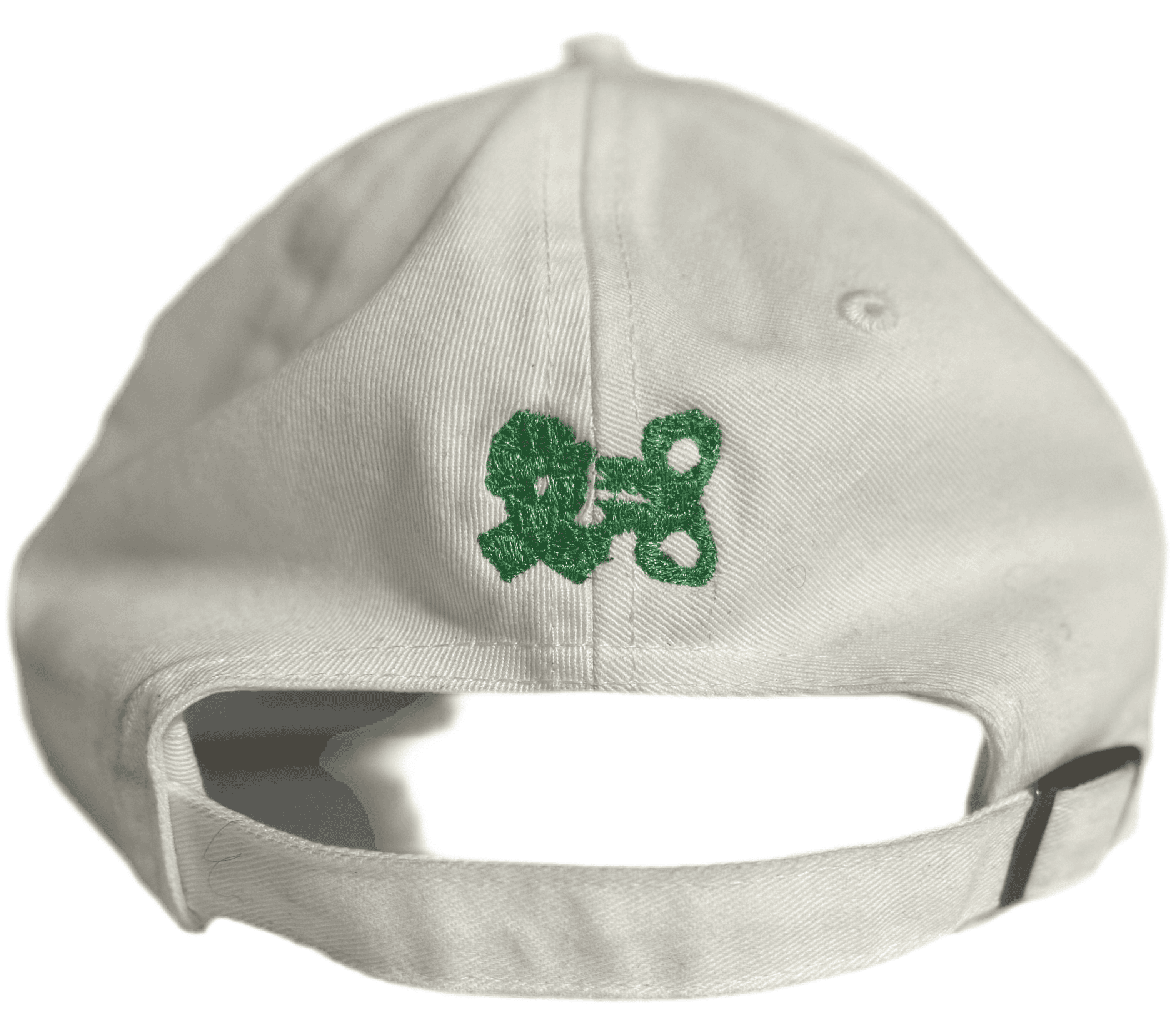💚 Mental Health/Green Ribbon Dad Cap 💚